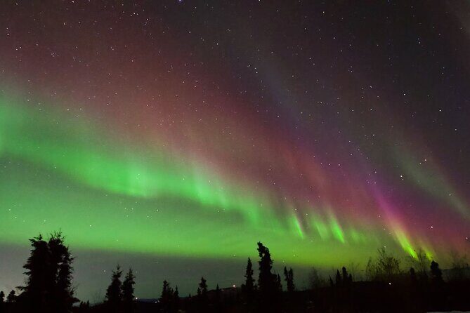 Small Group Aurora Chasing Tour - The Allure of the Guides and Their Knowledge