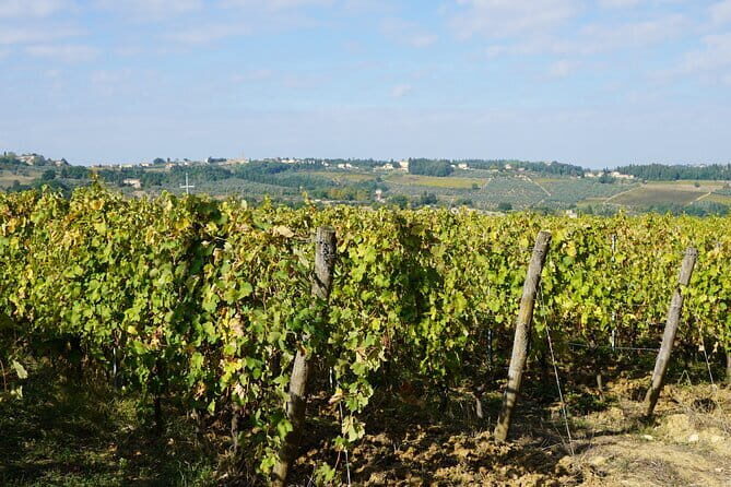 SMALL GROUP Chianti 2 wineries & meat feast @ Dario Cecchini - The Value of the Tour