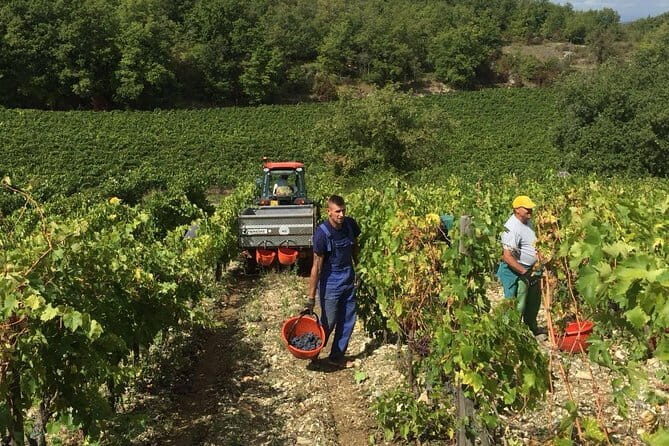 Small Group Chianti Wine Tasting with Seven Tuscan Wines - FAQ