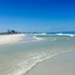 Small Group Clearwater Beach, Dolphin Watch Day Tour from Orlando - Final Thoughts