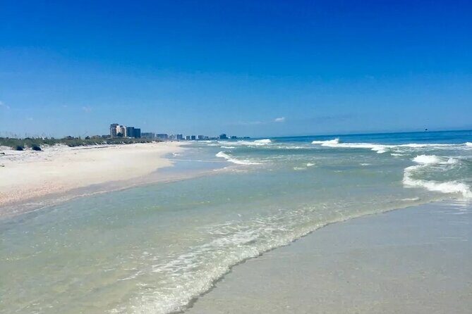 Small Group Clearwater Beach, Dolphin Watch Day Tour from Orlando - Final Thoughts