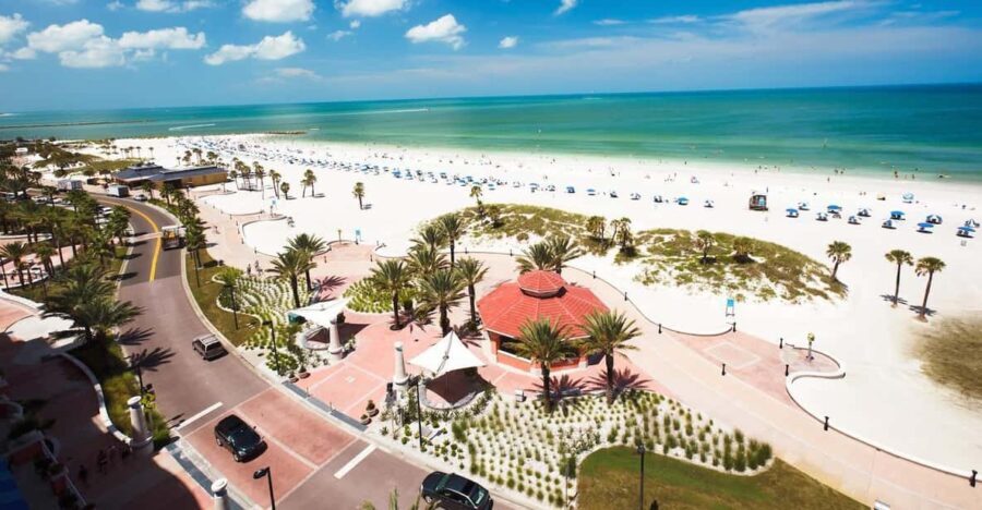 Small Group Clearwater Beach,Dolphin Watch Tour from Orlando - Who Is This Tour Best For?