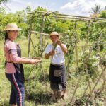 Small-Group Farm Tour & Balinese Cooking Class in Ubud with Kadek - An In-Depth Look at the Bali Farm & Cooking Experience