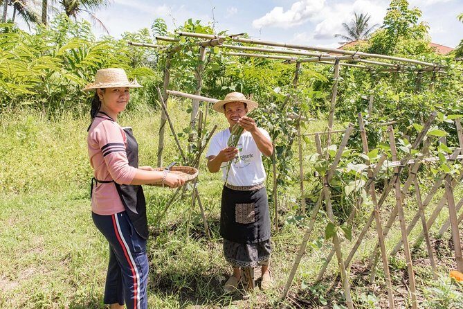Small-Group Farm Tour & Balinese Cooking Class in Ubud with Kadek - An In-Depth Look at the Bali Farm & Cooking Experience