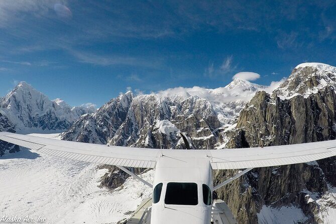 Small-Group Flight Denali National Park Tour with Guided Hike - The Sum Up: Who Will Love This Tour?