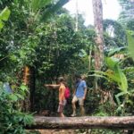 Small-Group Jungle Hiking Excursion in Khao Phra Teaw Park - Final Thoughts