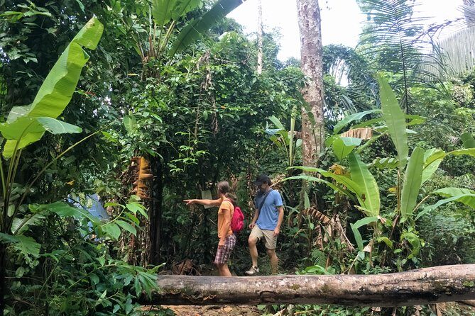 Small-Group Jungle Hiking Excursion in Khao Phra Teaw Park - Final Thoughts