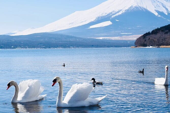 Small Group Mt. Fuji, Lake Kawaguchi&Yamanaka Hotel Pickup Option - Frequently Asked Questions (FAQs)