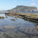 Small group Private Taxi Tour DAY experience in Jeju island - Who Is This Tour Best For?