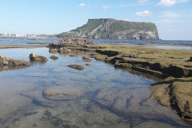 Small group Private Taxi Tour DAY experience in Jeju island - Who Is This Tour Best For?