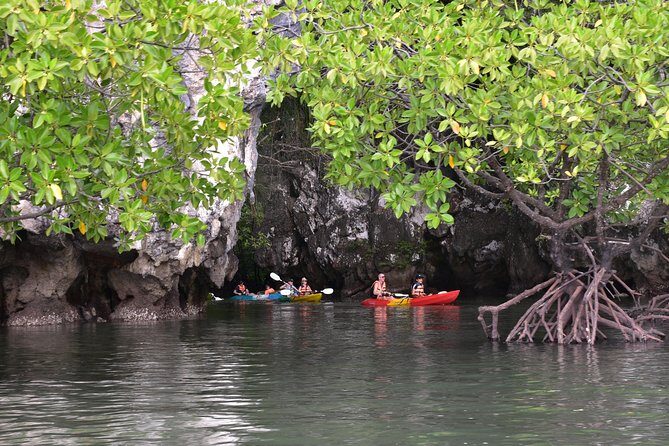 Small-Group Sea Kayaking in Ao Thalane Bay and Hong Island from Krabi - What’s Included and How It Adds Value
