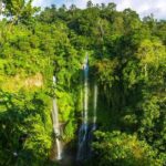 Small-Group Sekumpul Waterfall Jungle Trek with Lunch - What to Expect: Details and Practicalities