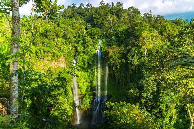 Small-Group Sekumpul Waterfall Jungle Trek with Lunch - What to Expect: Details and Practicalities