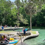 Small Group Silver Springs State Park Day Tour from Orlando - Analyzing the Value