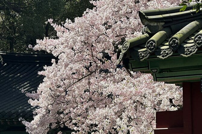 Small Group Tour East Jeju Cherry Blossom & Woman Diver Show - Practical Tips for Visitors
