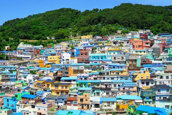 Small Group Tour of Busan Highlights by licensed tour guide - Who Is This Tour Best For?