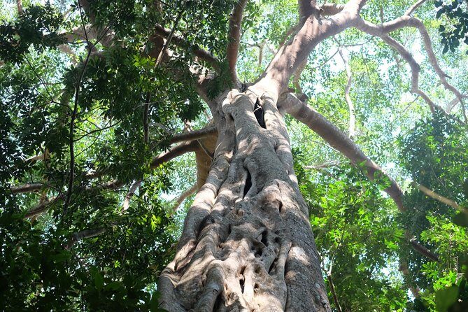 Small Group : Trekking Trip in Chiang Mai (Doi Suthep Area) with Market Tour - Who Should Consider This Tour?