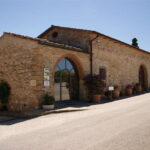 Small-Group Wine Tasting Experience in the Tuscan Countryside - Who Will Love This Tour?