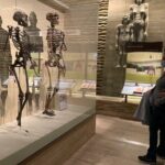 Smithsonian National Museum of Natural History with Guided Tour - Final Thoughts: Is It Worth It?