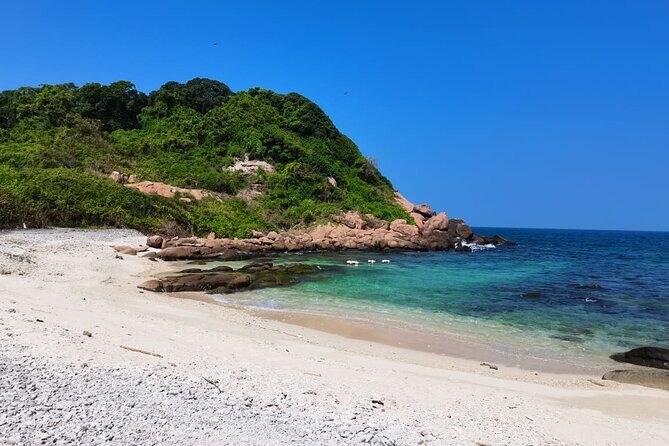 Snorkeling Adventure at Pigeon Island  Explore Marine Life - Authentic Insights from Reviewers
