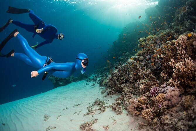 Snorkeling and Freediving Trip around Nusa Penida - What to Expect