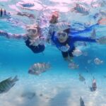 Snorkeling Blue Lagoon with lunch & waterfall - Practical Tips and Considerations