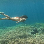 Snorkeling Day Trip to Nusa Lembongan and Nusa Penida - Who Should Book This Tour?