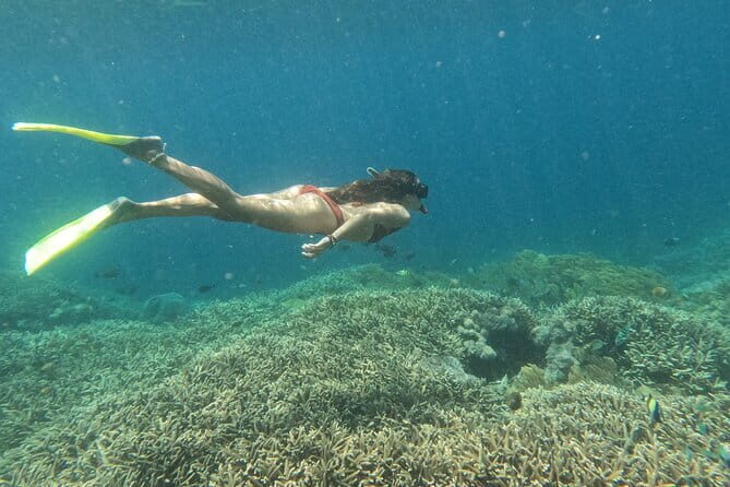 Snorkeling Day Trip to Nusa Lembongan and Nusa Penida - Who Should Book This Tour?