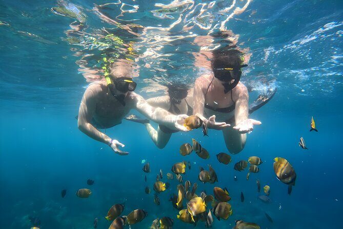 Snorkeling In Nusa Penida Island With Manta Ray From Bali - What Reviewers Say