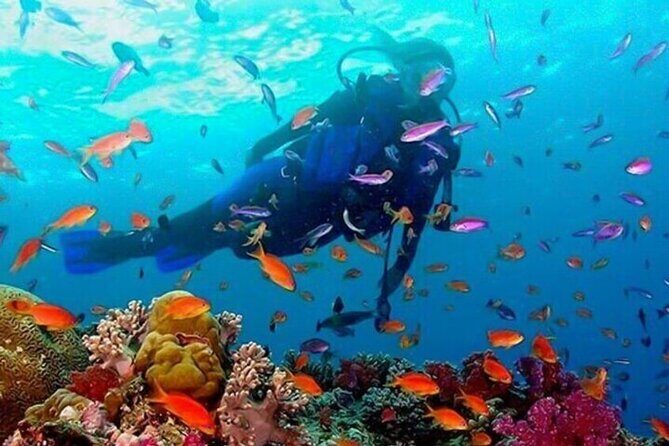 Snorkeling in Trincomalee - Who Should Consider This Tour?