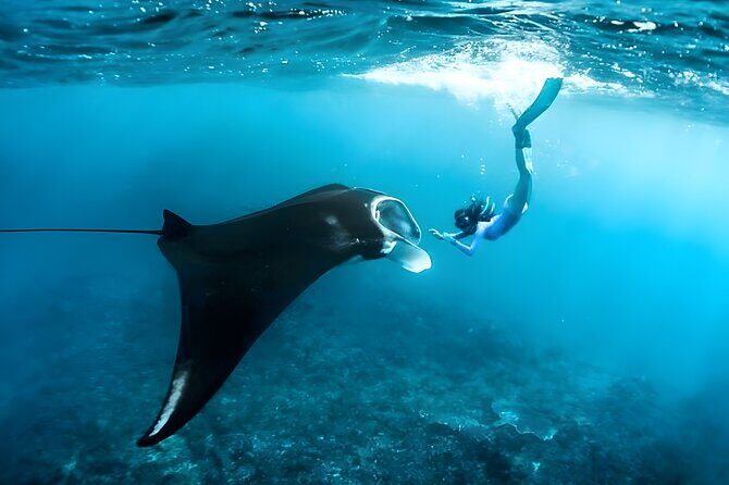 Snorkeling in Wall Point, Gamat Bay and Manta Bay: Nusa Penida Island - First Stop: Crystal Bay