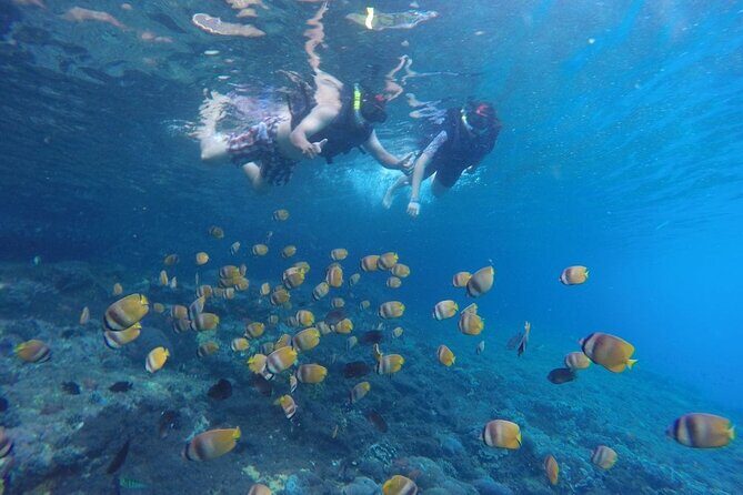 Snorkeling Manta Bay And West Penida Private Guided Tour - What Makes This Tour Stand Out
