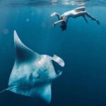 Snorkeling Manta Rays and Land Tour Nusa Penida  All-Included - The Itinerary: From Underwater Encounters to Cliffside Views