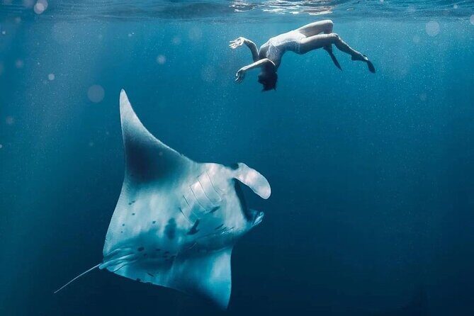 Snorkeling Manta Rays and Land Tour Nusa Penida  All-Included - The Itinerary: From Underwater Encounters to Cliffside Views