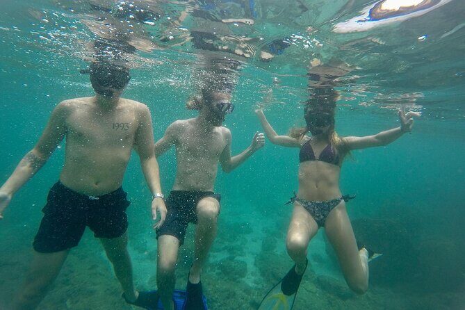 Snorkeling On Beautiful Rock Island - Unawatuna by Boat - Value and Practical Considerations
