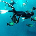 Snorkeling Package at Tulamben Liberty Shipwreck - What’s Included and What to Bring