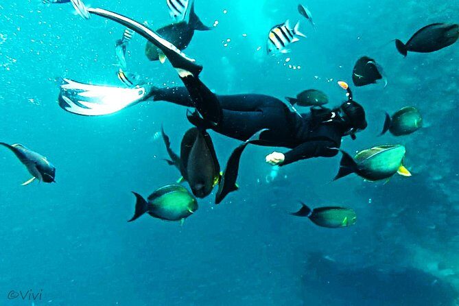 Snorkeling Package at Tulamben Liberty Shipwreck - What’s Included and What to Bring
