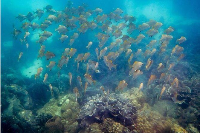 Snorkeling ( start at Ko Kut) - Practical Details and Tips