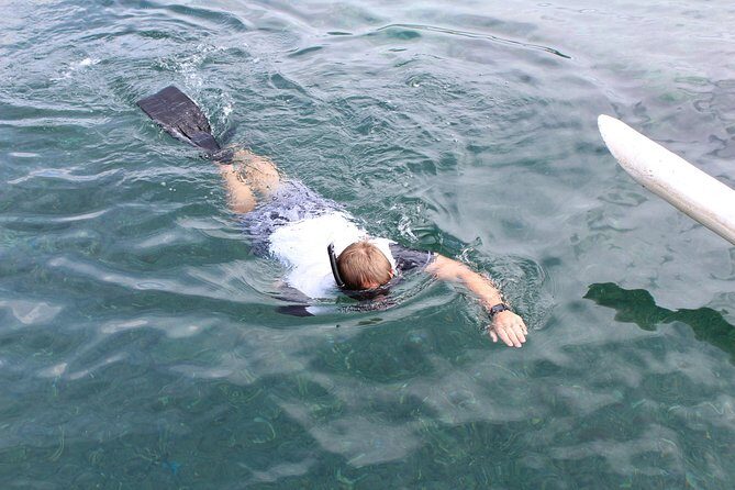 Snorkeling Tour at Blue Lagoon with Private Hotel Transfer - What to Expect at Each Snorkeling Spot