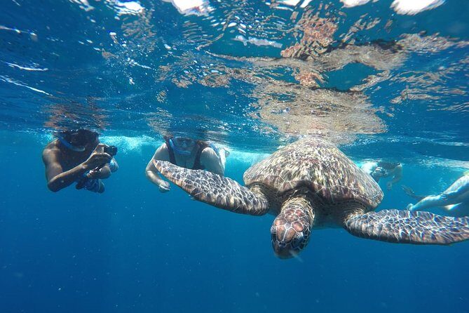 Snorkeling Tour In Gili Islands Pick Up From Lombok Or Gili - The Itinerary in Detail