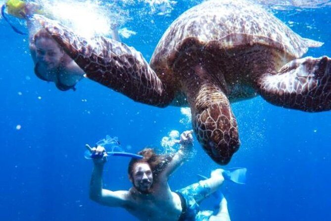Snorkeling Tour In Gili Trawangan, Gili Meno And Gili Air Pick Up From Bali - The Sum Up