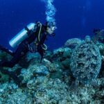 Snorkeling Trip to Menjangan Island - The Sum Up