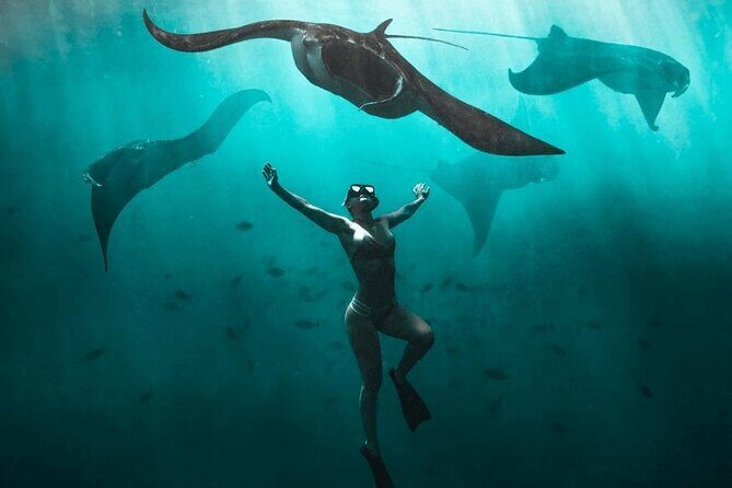 Snorkeling with Manta Rays in Nusa Penida Experience (All-Inclusive) - Authentic Insights from Reviews