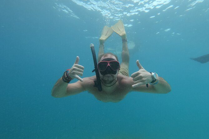 Snorkeling with turtle and statue in Gilis - Authentic Experiences from Travelers