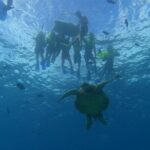 Snorkeling with Turtle/Water Scooter/Paddleboard Adventures Oahu - A Full Breakdown: What to Expect on This Oahu Adventure