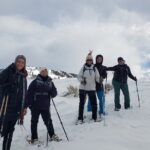 Snowshoe or XC Ski in North Yellowstone (Half Day) - Discovering Yellowstone in Winter: What to Expect