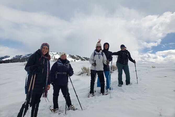 Snowshoe or XC Ski in North Yellowstone (Half Day) - Discovering Yellowstone in Winter: What to Expect