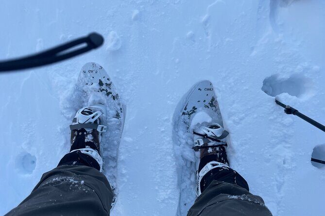 Snowshoeing and Onsen Adventures in a Winter Wonderland -Sapporo. - Practical Details & Tips