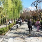 South Kyoto in a Nutshell: Gentle Backstreet Bike Tour! - Analyzing Value and Practicalities