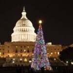 Special Christmas tour in Washington - What to Expect in Terms of Value